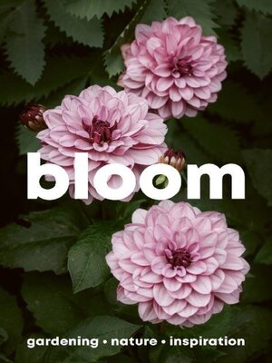 cover image of Bloom